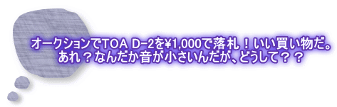 I[NVTOA D-2\1,000ŗDIB HȂ񂾂񂾂AǂāHH